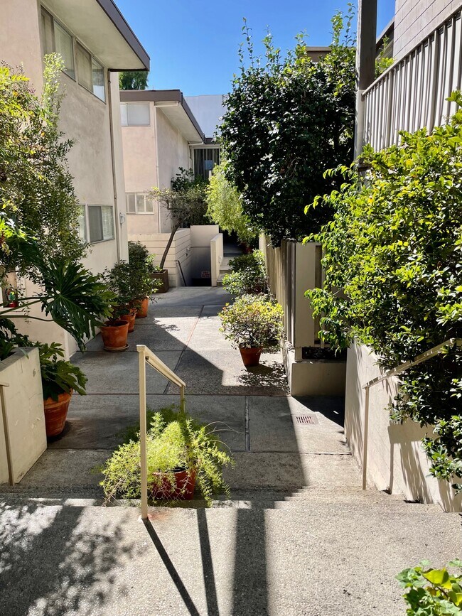 833 Moraga Dr 833 Moraga Dr Los Angeles CA 90049 Apartment Finder