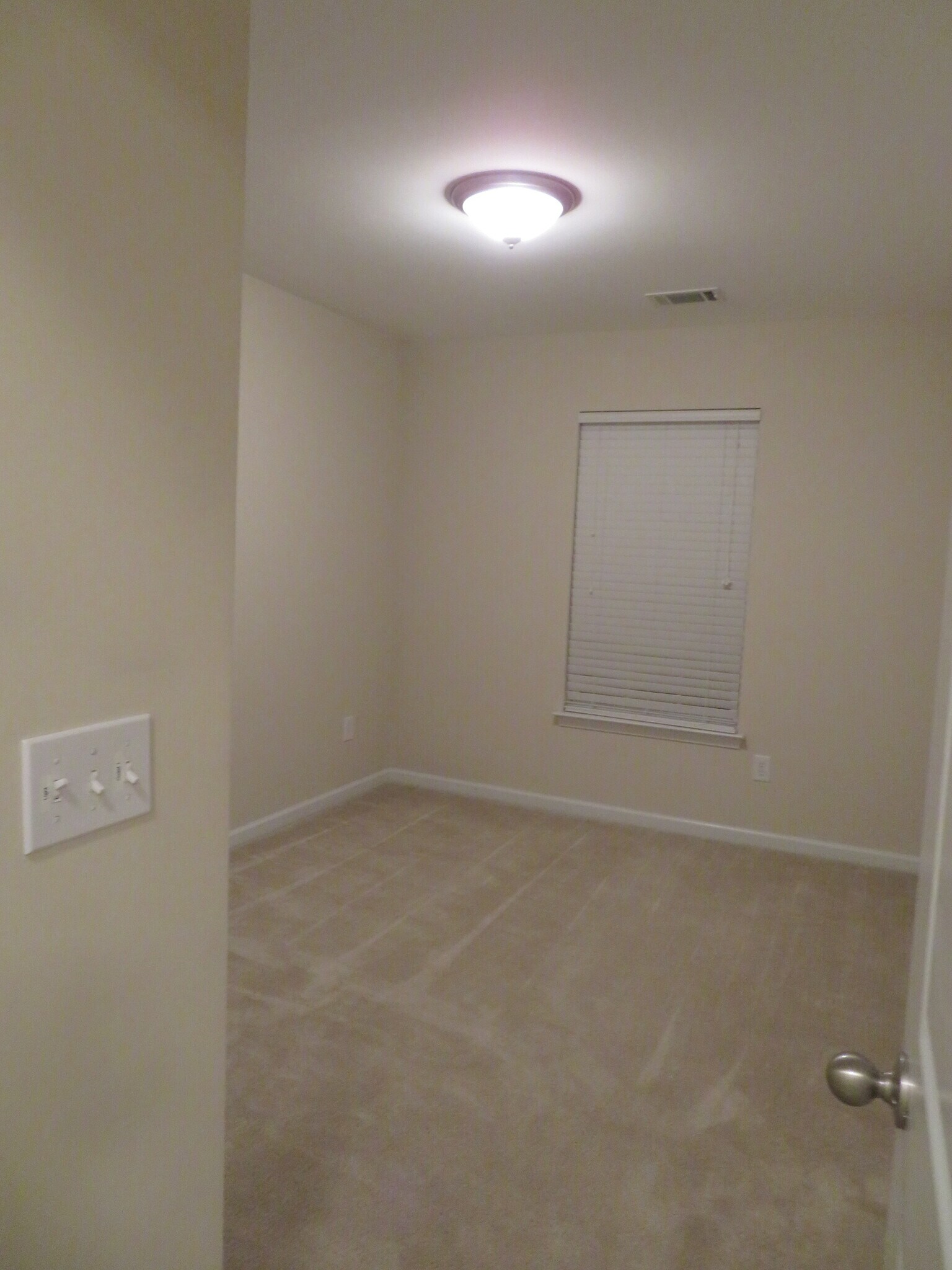 3rd Bedroom beside bathroom w ceiling light, blinds, & carpet - 2496 Stadium Dr