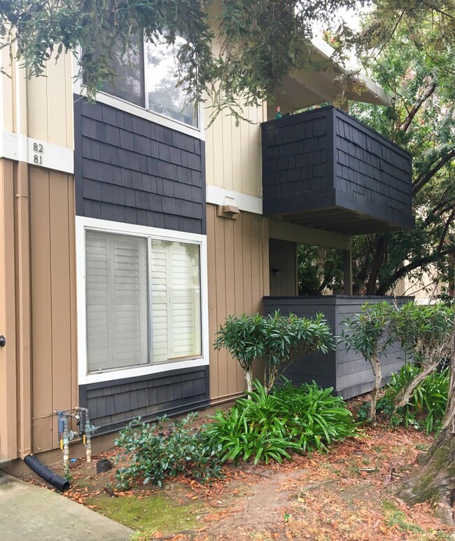 Building Photo - Charming 2 Bed 2 Bath Condo in Downtown Sa...