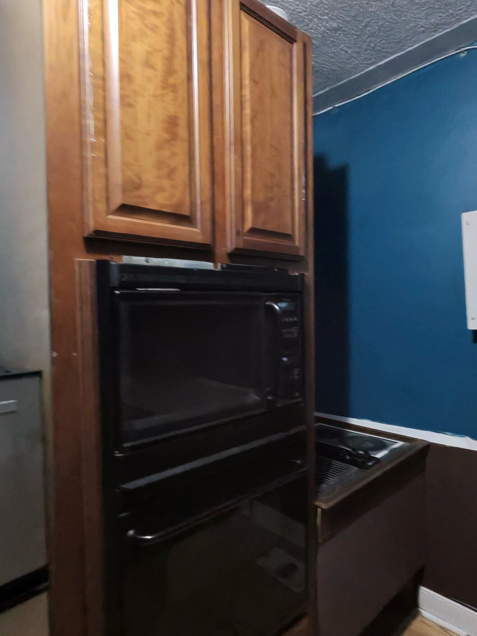 Kitchen microwave and oven - 219 West Bell Street