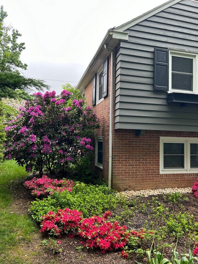 Building Photo - Wyomissing Schools Rental