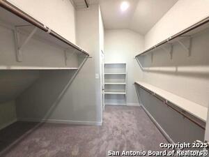 Building Photo - 7915 Needle Crk