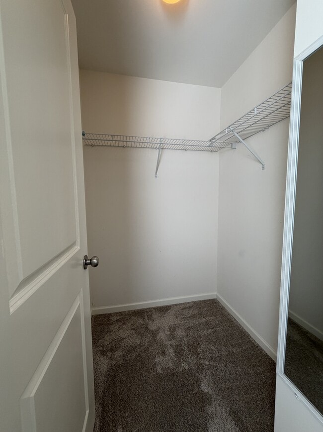 Building Photo - 3549 Saddlebrook Dr