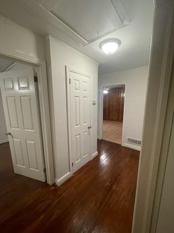 Building Photo - 3224 Bronx Rd