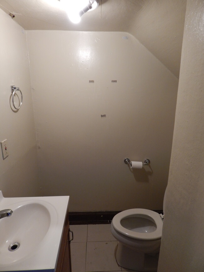 Main Floor Bathroom - 208 S Bassett St