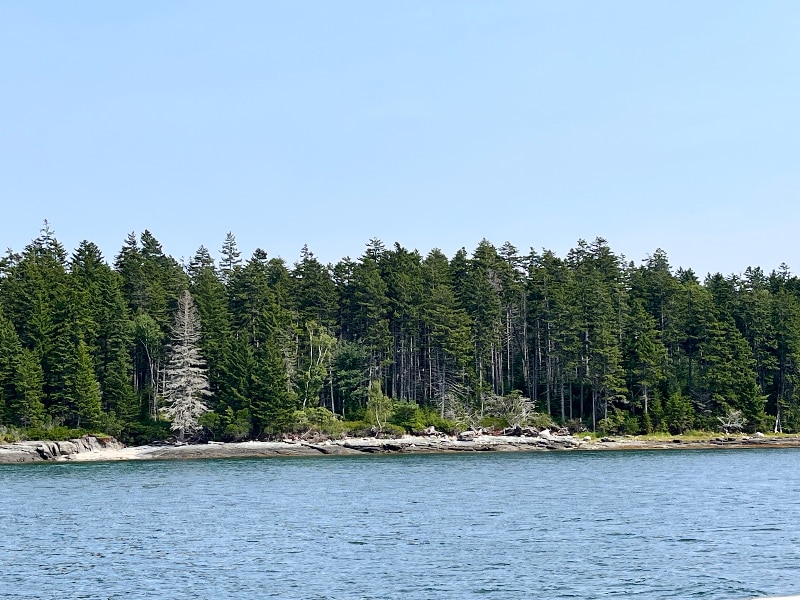 Building Photo - 68 Bonsey Ln