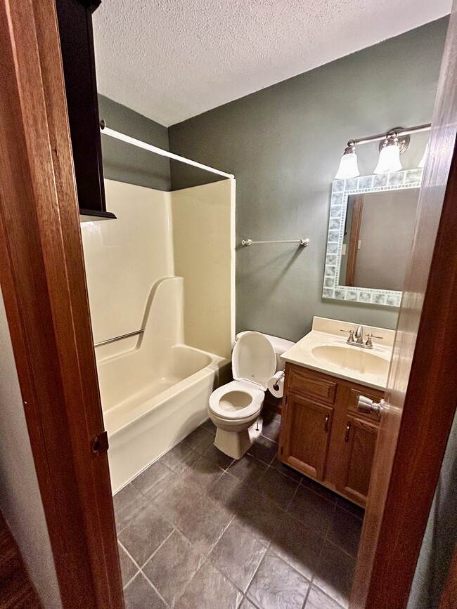 Downstairs Bath - 455 Bramblewood Ln