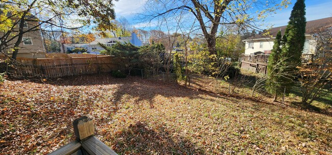 Backyard - 13217 Nottingdale Dr