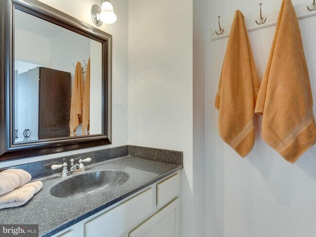 Master Bath - 3705 S George Mason Dr