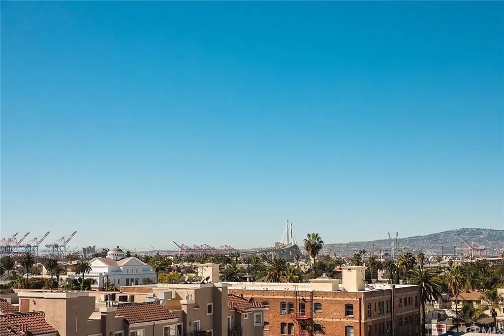 view from community roof - 838 Pine Ave