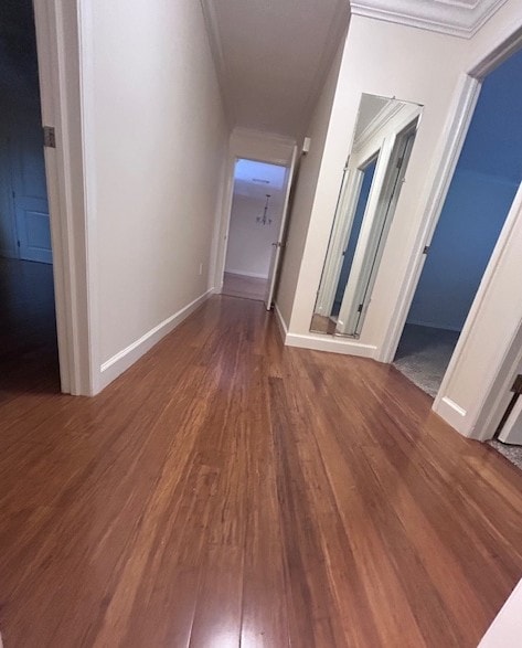 Building Photo - 210 Magnolia Rd