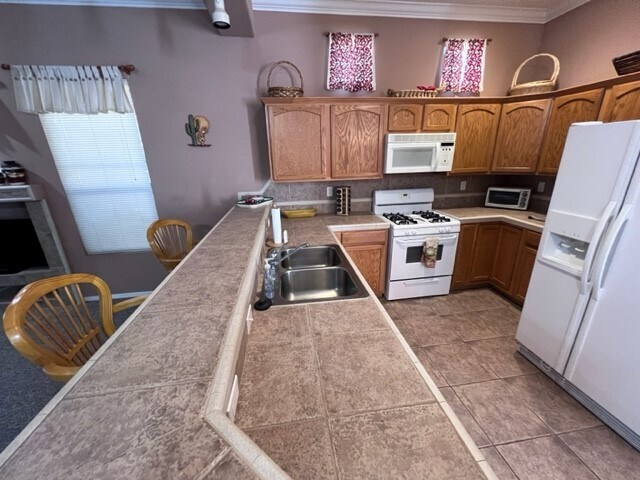 Building Photo - 2713 Desert Flowers Dr
