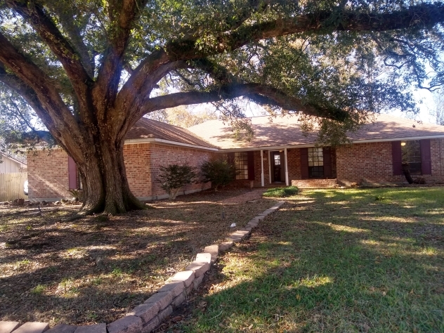 Historic Oak Tree Front - 1713 Oakdale Dr