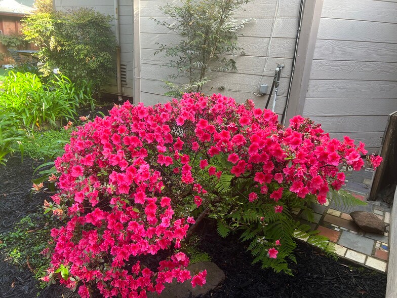 Building Photo - 2530 College Ave