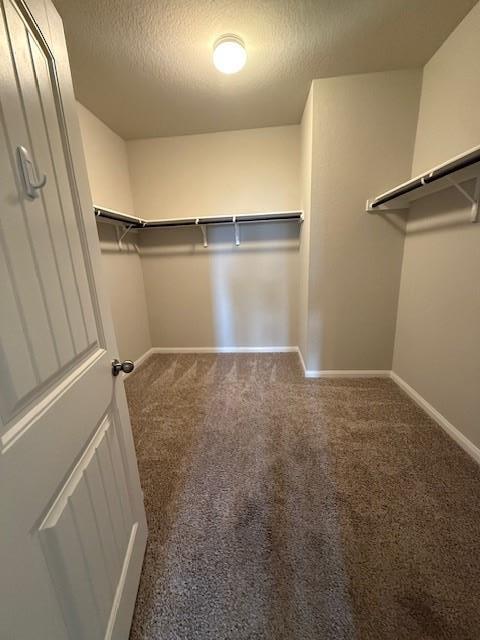 Building Photo - 1009 Ferryman Dr