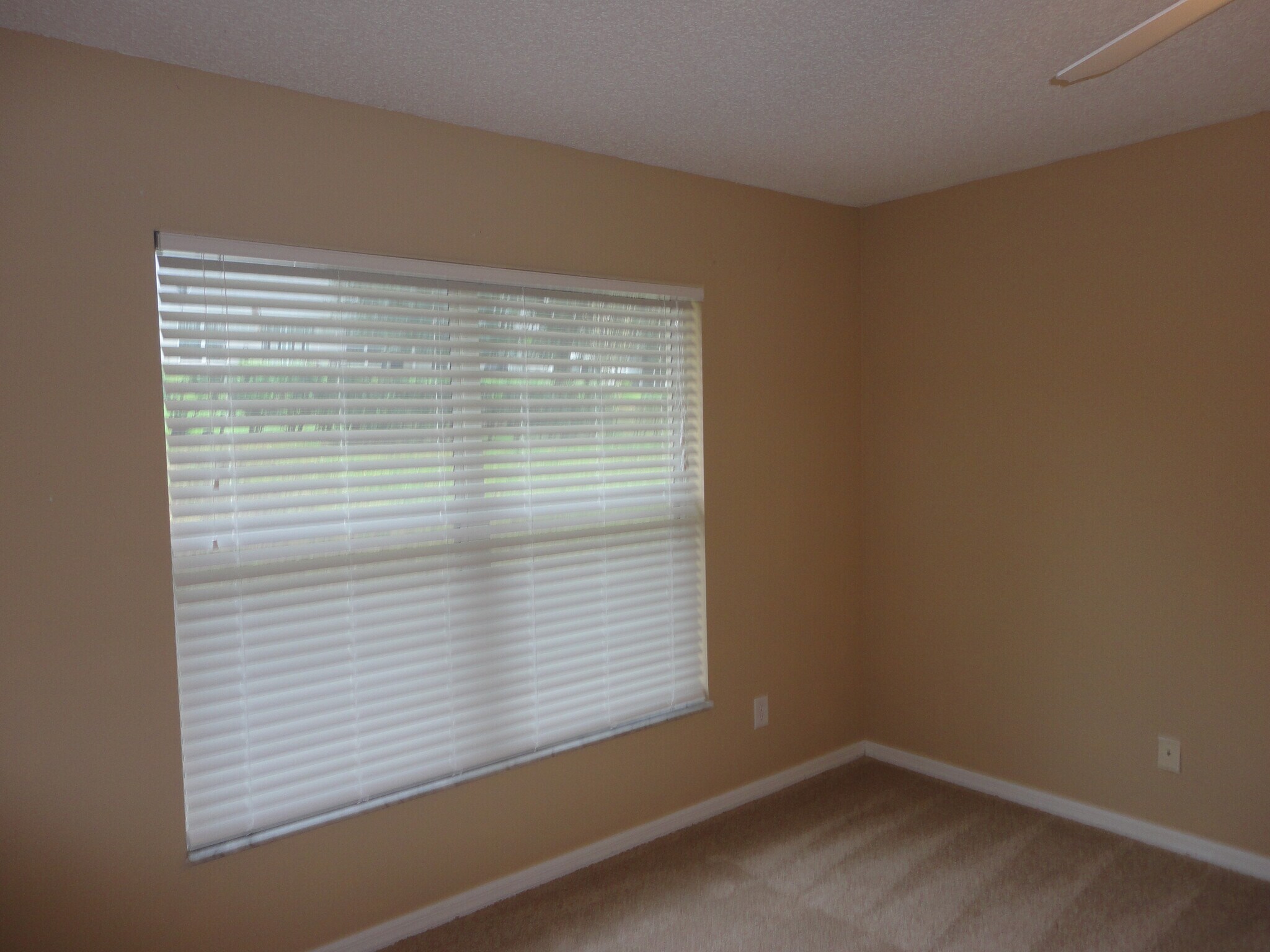 Building Photo - 648 Winding Lake Dr