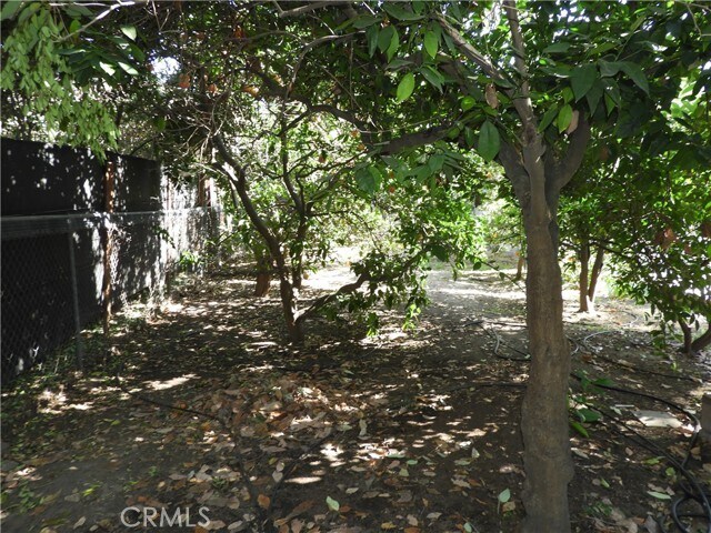 Building Photo - 1554 Las Lunas St