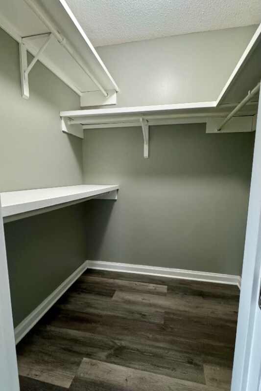 Building Photo - 305 Halcott Dr