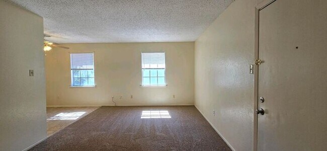 Building Photo - Newly Updated 2 Bedroom 1 Bath Apartment in Hallsville!