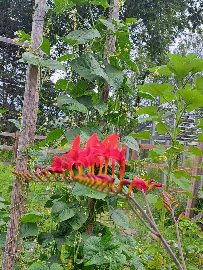 Building Photo - 9374 Alango Rd