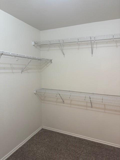 Building Photo - 1116 Brandywine Ln