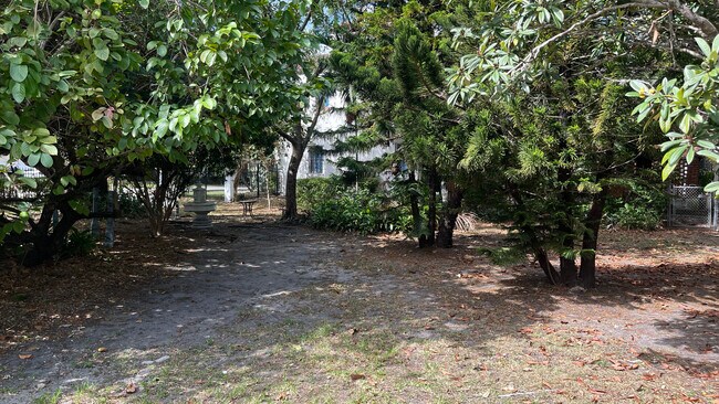 Yard - 407 Alhambra Cir