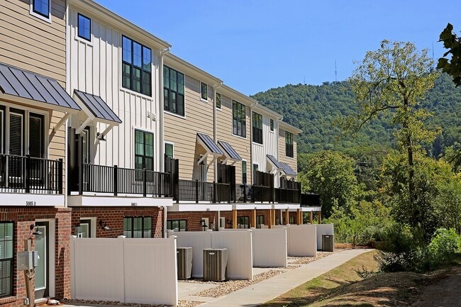 Building Photo - Dog-Friendly S. Albemarle Townhome