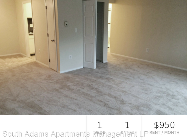 Primary Photo - 40 Olcott St