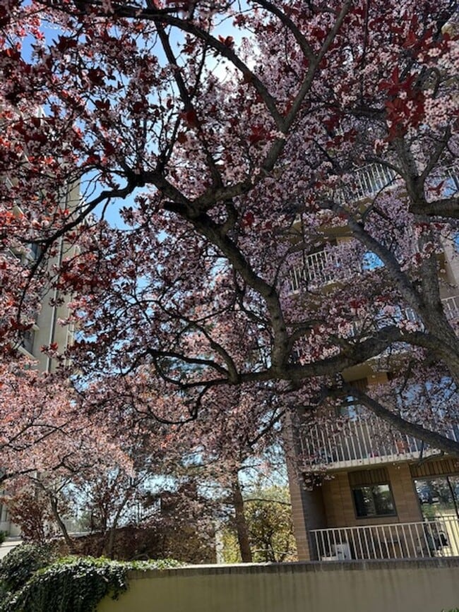 Building Photo - GORGEOUS FULLY FURNISHED in the heart of SLC!!!