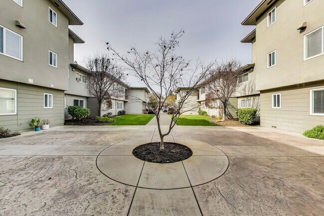 Building Photo - 1549 San Carlos Ave