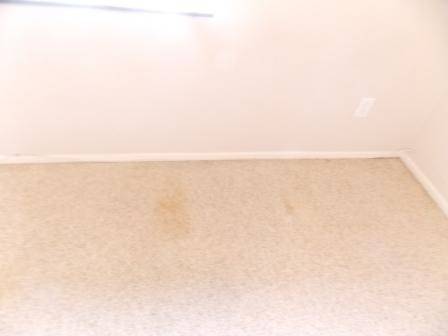 Building Photo - 6331 N Whitner St