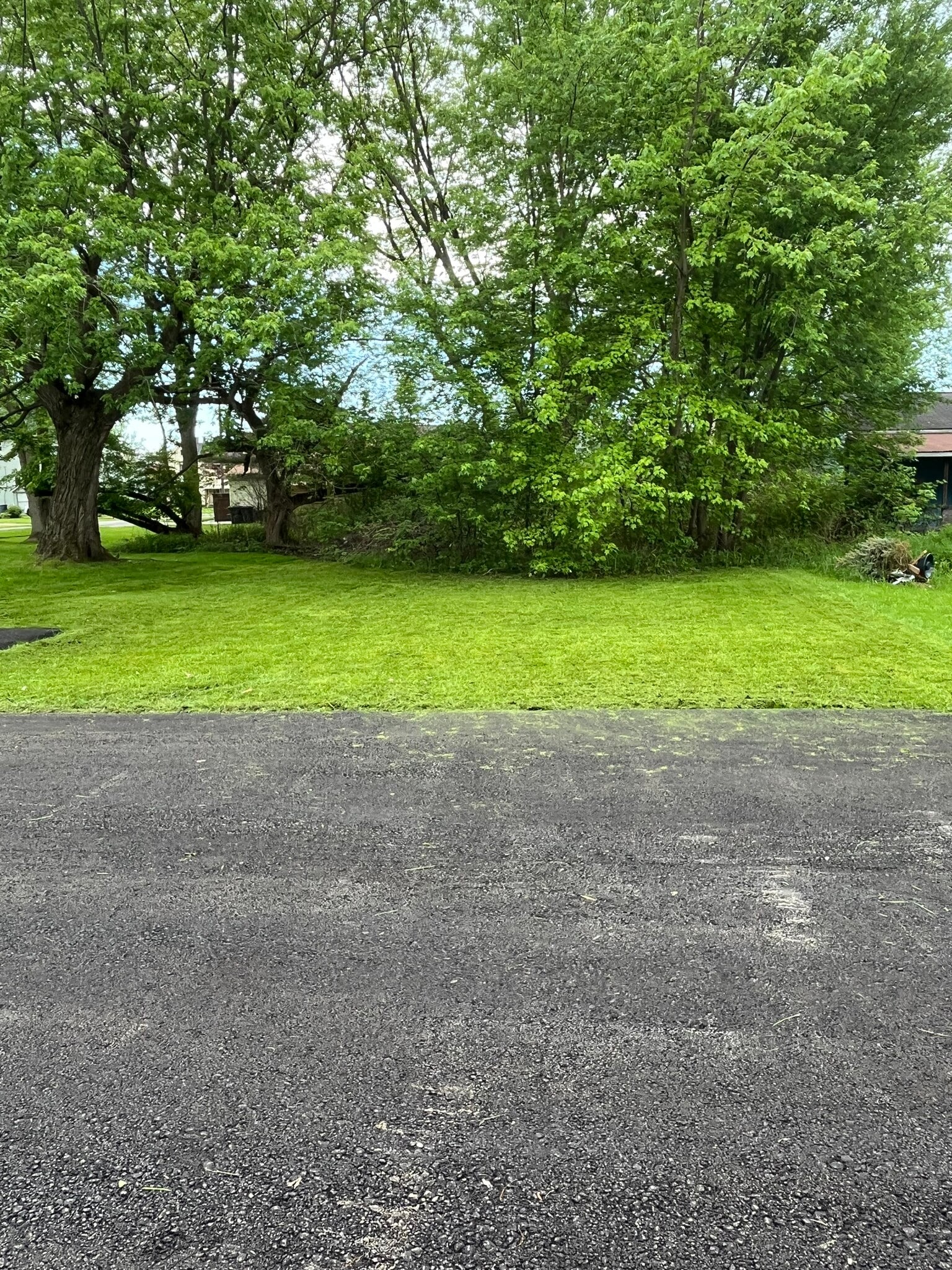 Backyard - 28 Wood Ave