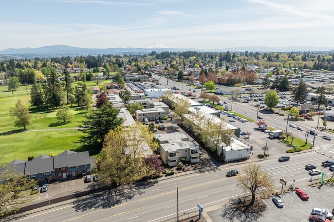Aerial - IRONWOOD GREENS