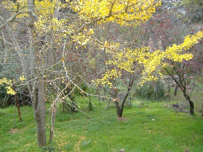 Building Photo - 7630 Terrace Dr