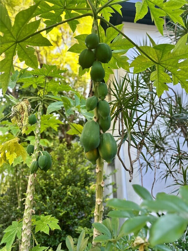 Building Photo - 7940 SW 55th Ave