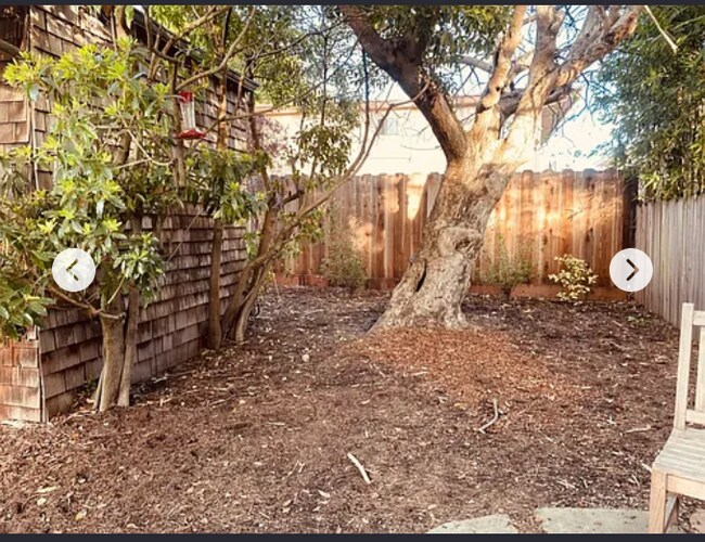 Outdoor space - 2423 Roosevelt Ave