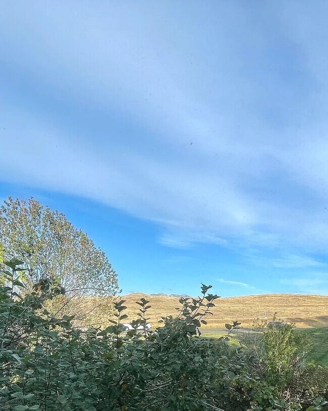 Building Photo - Beautiful 3-Bedroom Home in Rock Creek