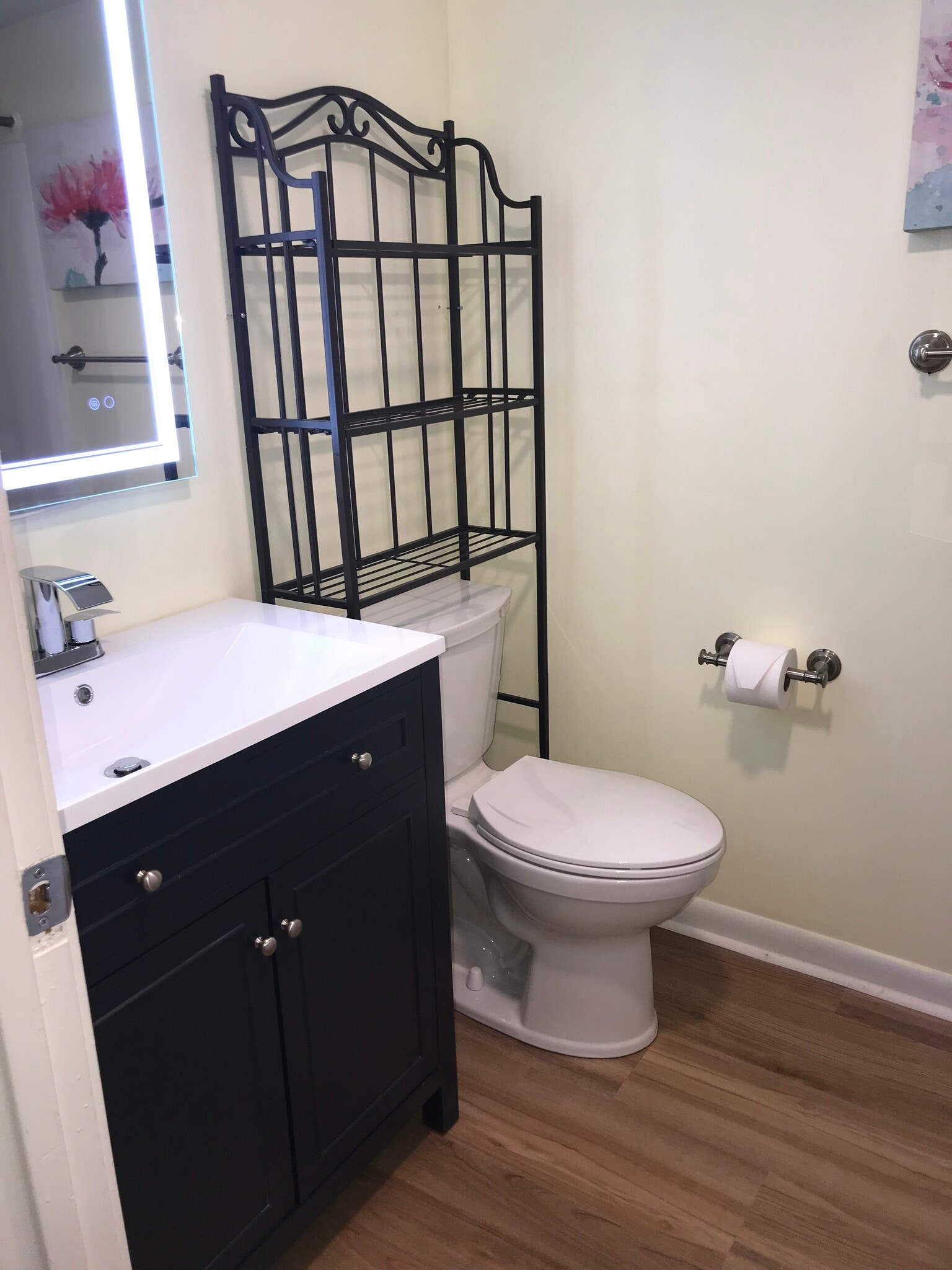 Lighted mirror and waterfall faucet - 454 Racine Dr