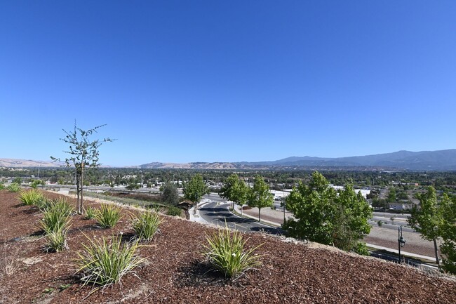 Building Photo - Tri-Level Beauty atop Communications Hill-...