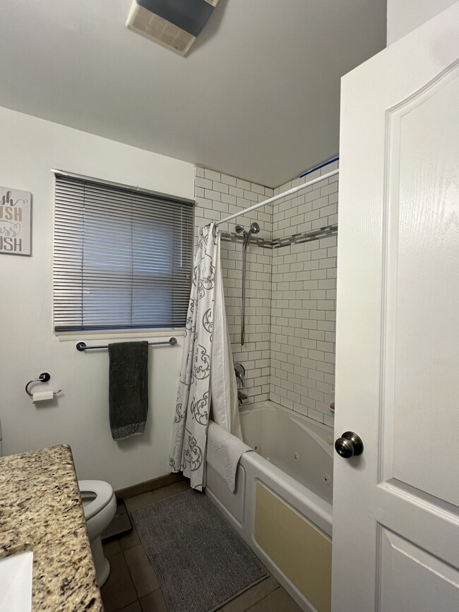 Bathroom - 900 E 118th Pl