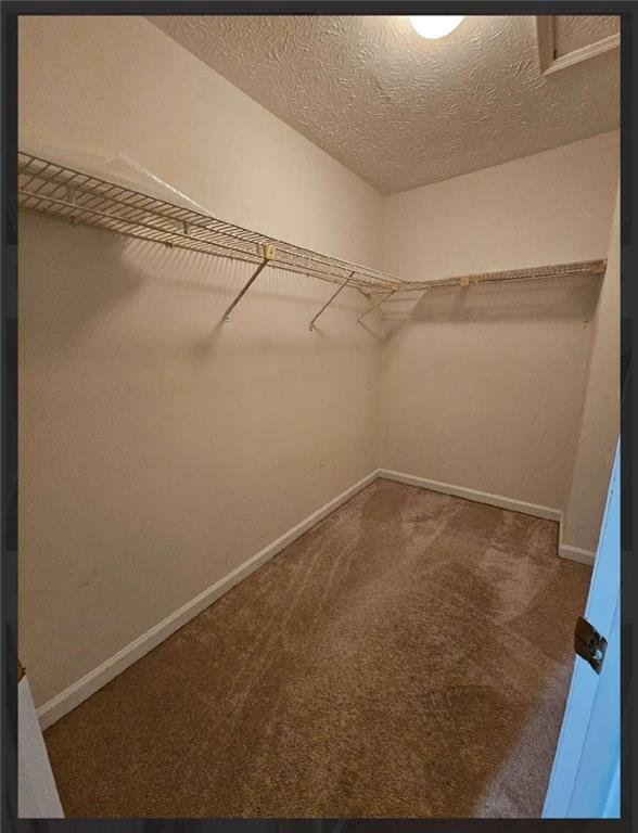 Building Photo - 2539 Oakridge Pl