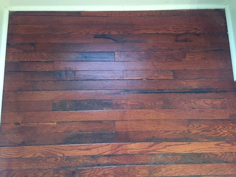 Original restored hard wood throughout - 916 Scott St