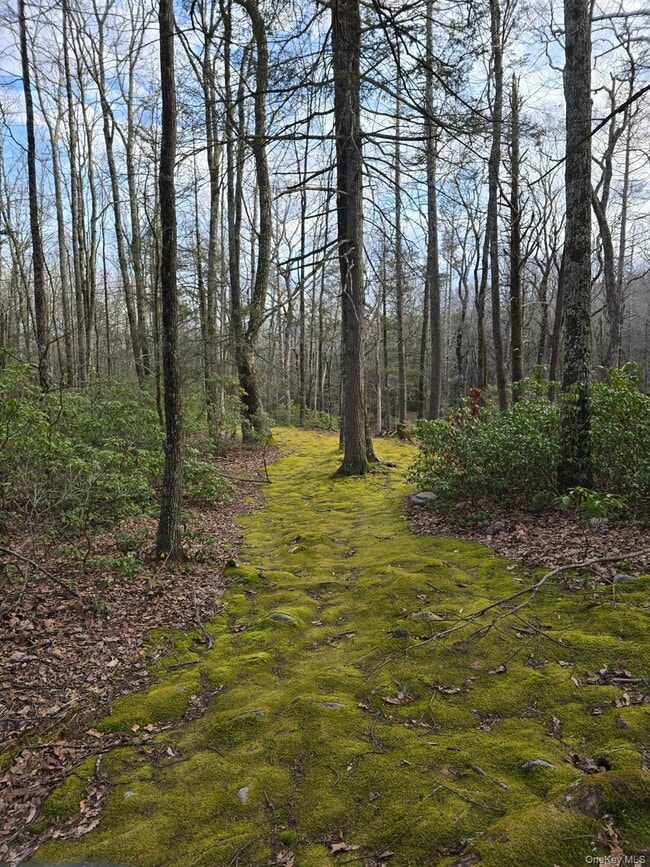 Building Photo - 37 Hill Rd