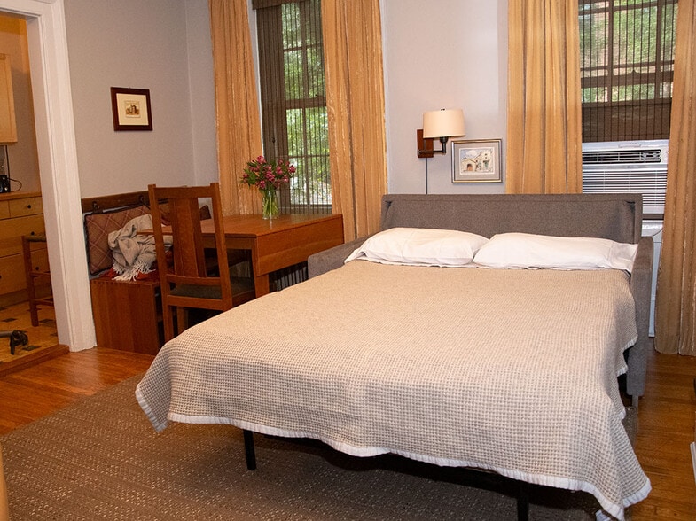 comfortable sofa bed in living room - 18 Schermerhorn St