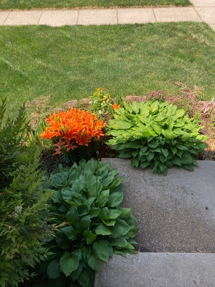 Building Photo - 3203 Trellis Ln