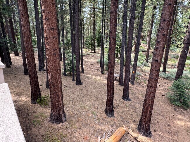 Building Photo - 1103 Sundown Trail