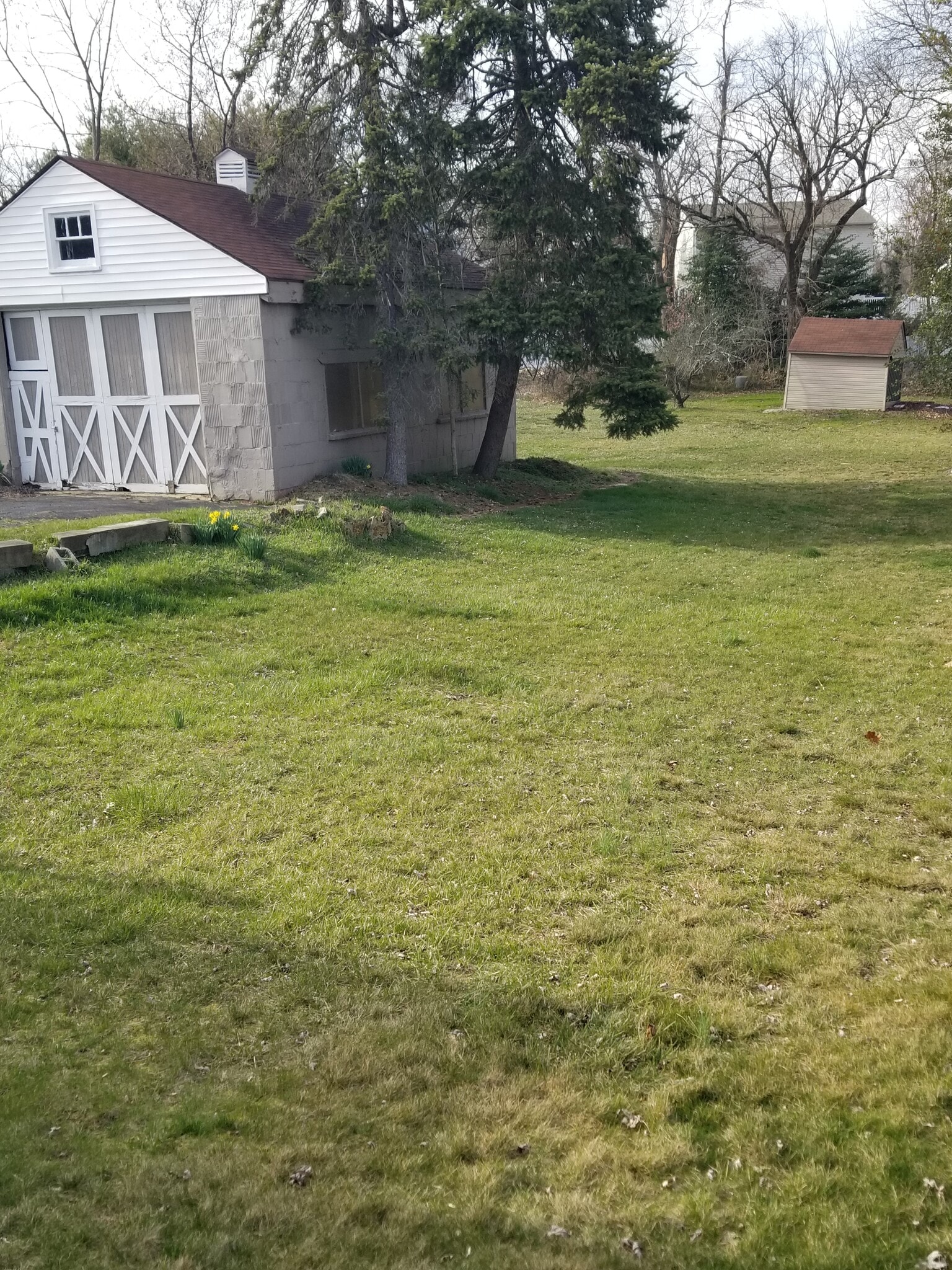 Back Yard - 86 Bethany Rd