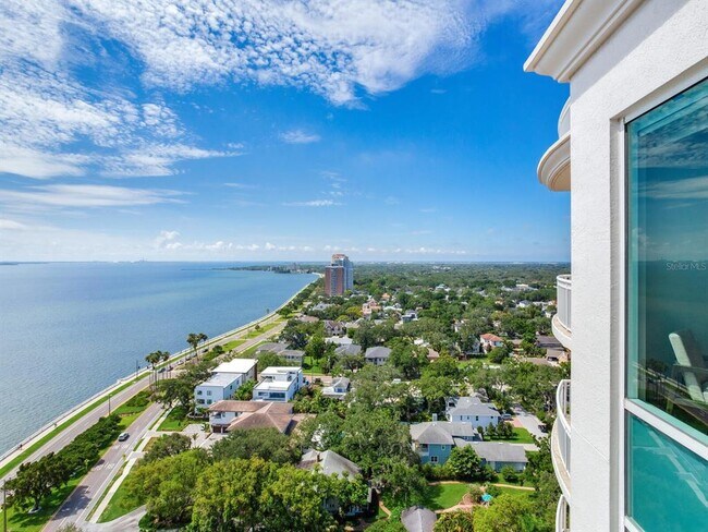 Building Photo - 3507 Bayshore Blvd