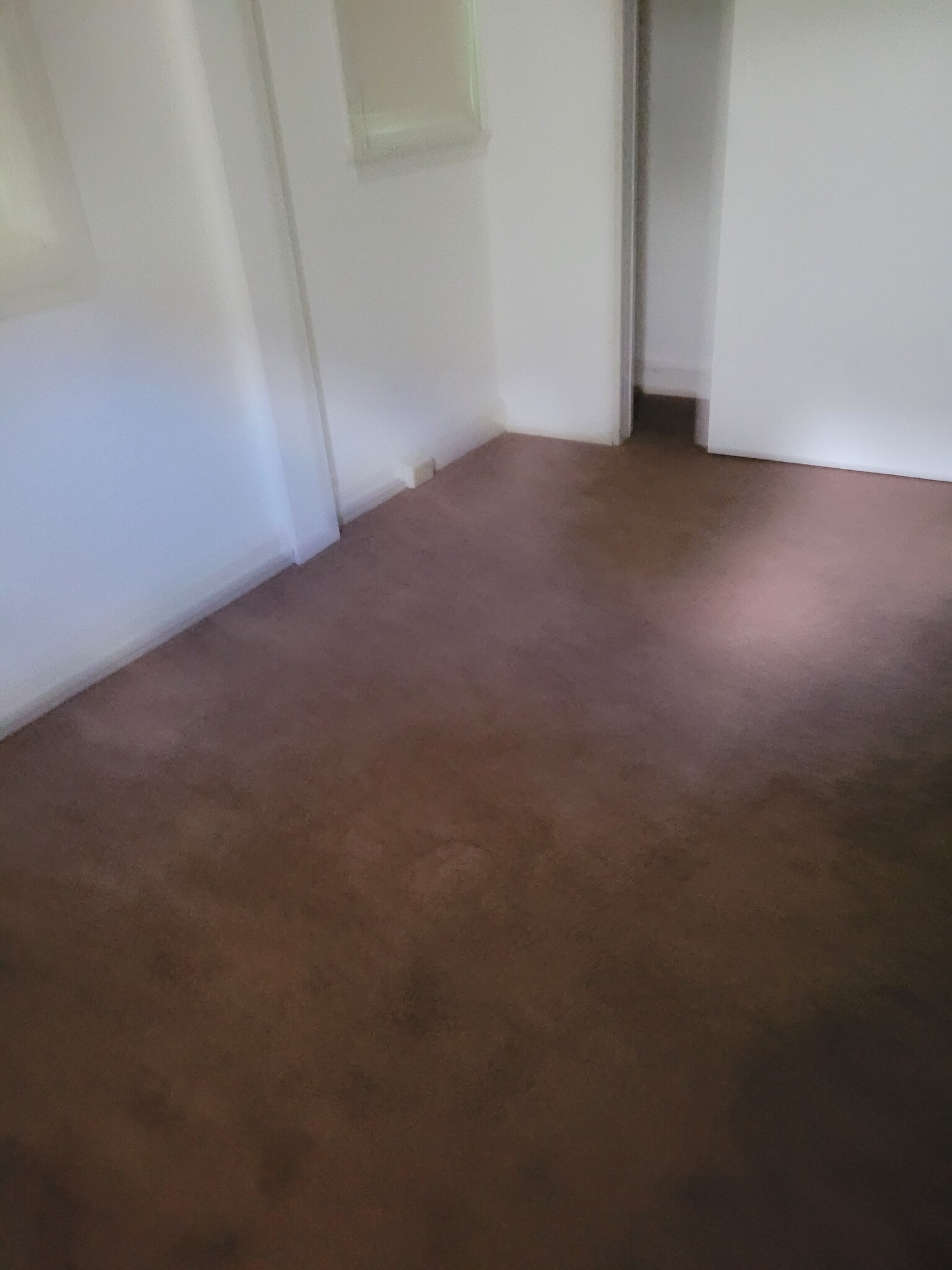 Back office with closet and shelvies - 1413 Darby Rd