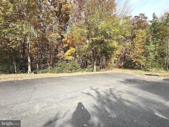 Building Photo - 255 Farrell Ln